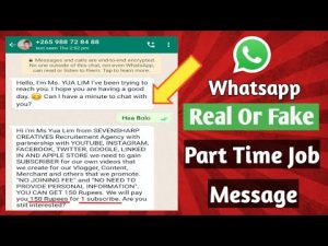 whatsapp employment scam